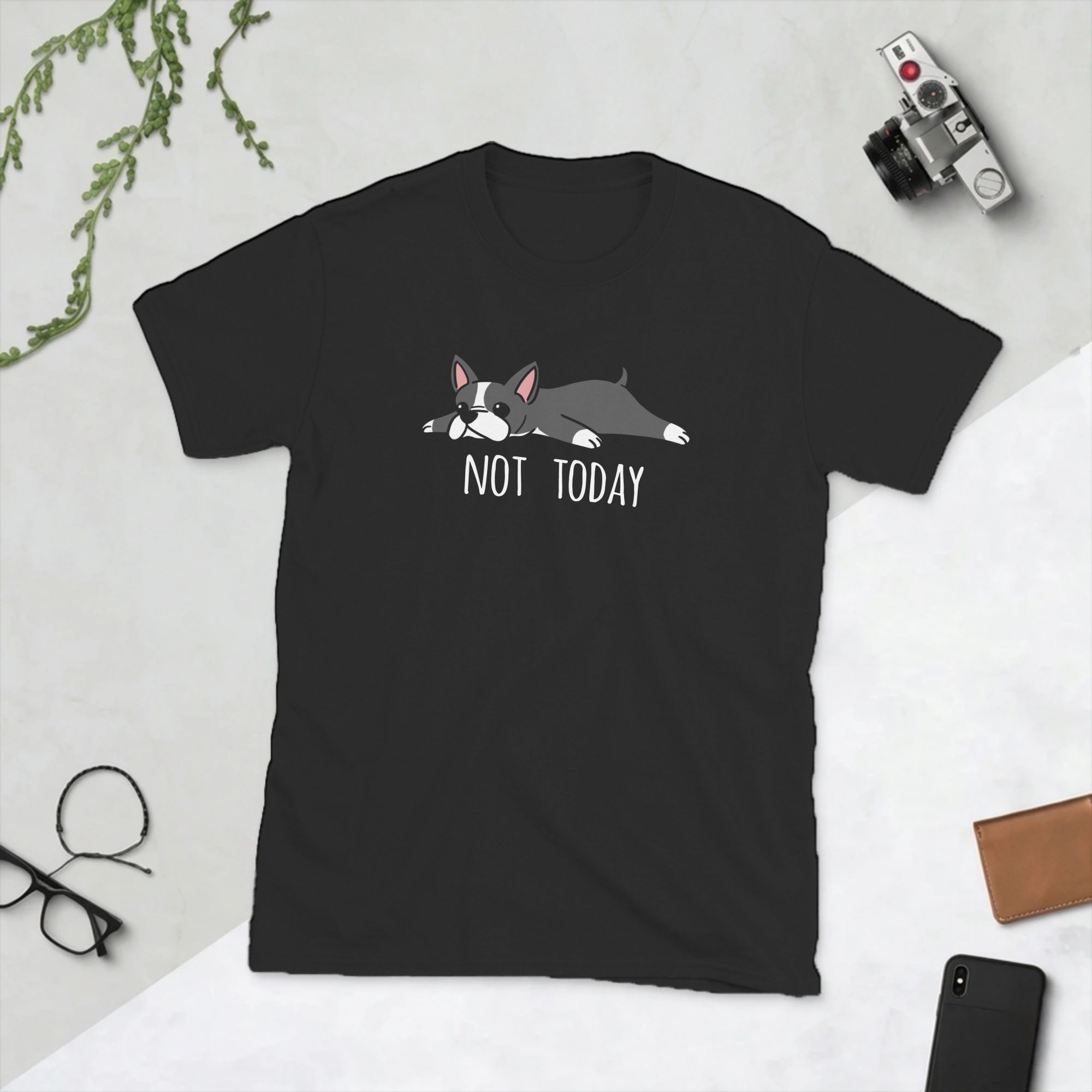 Summer Clothing Ideas - Komik Bugün Değil Boston Terrier Köpek
